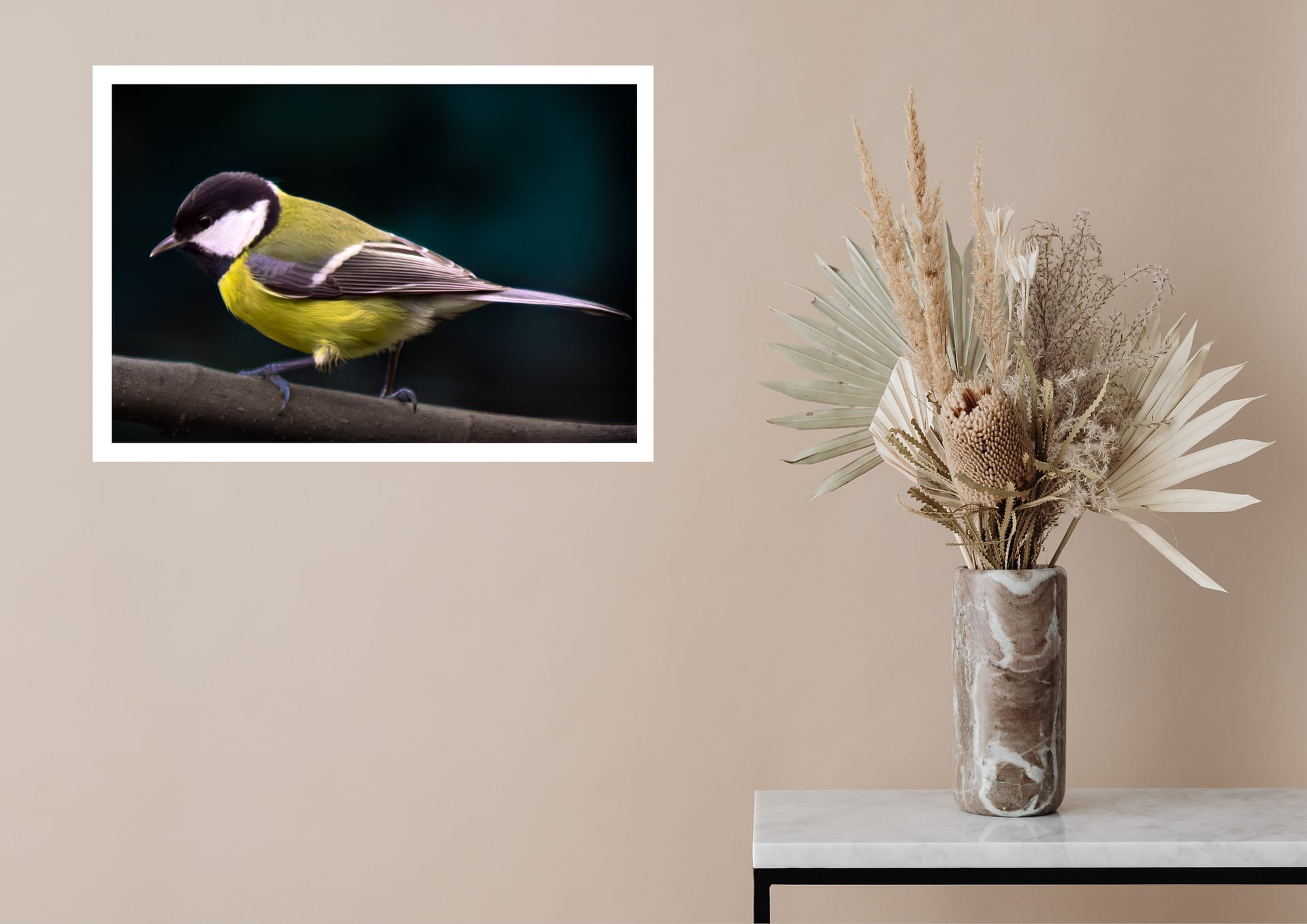 Koolmees - Afbeelding 2