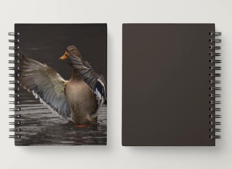 Notitieboek: Vrouwtjeseend - Afbeelding 2